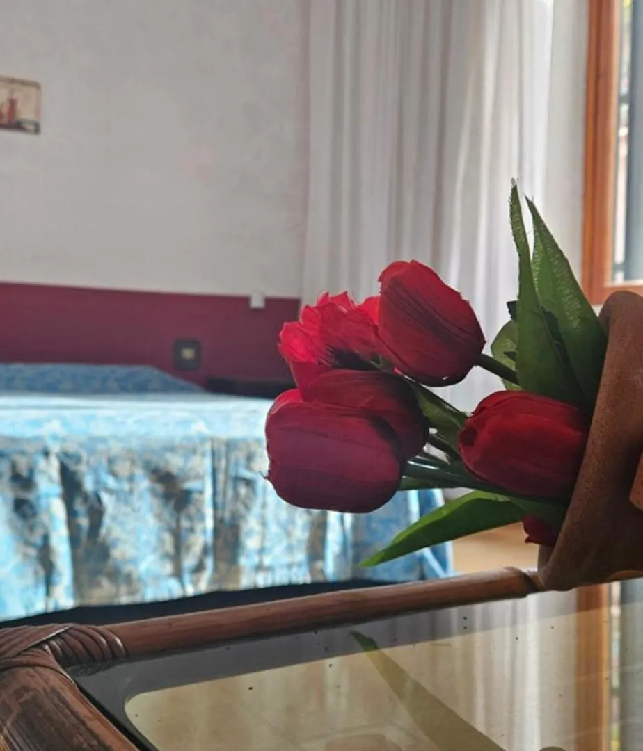 Antica Roma Apartment 0*, Rome